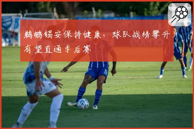 鹈鹕锡安保持健康，球队战绩攀升有望直通季后赛