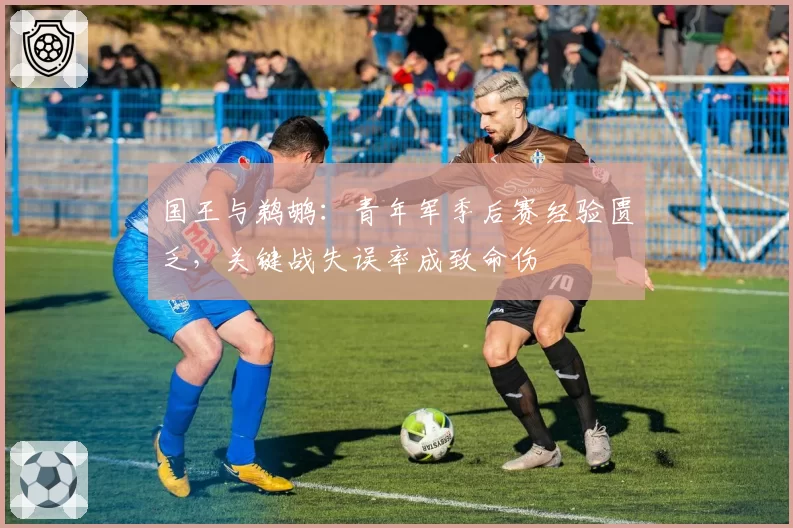 国王与鹈鹕：青年军季后赛经验匮乏，关键战失误率成致命伤
