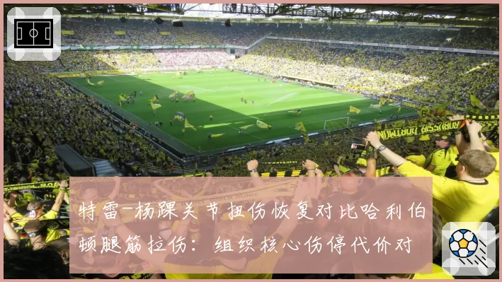 特雷-杨踝关节扭伤恢复对比哈利伯顿腿筋拉伤：组织核心伤停代价对比