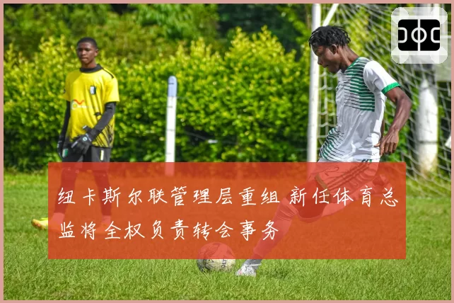 纽卡斯尔联管理层重组 新任体育总监将全权负责转会事务